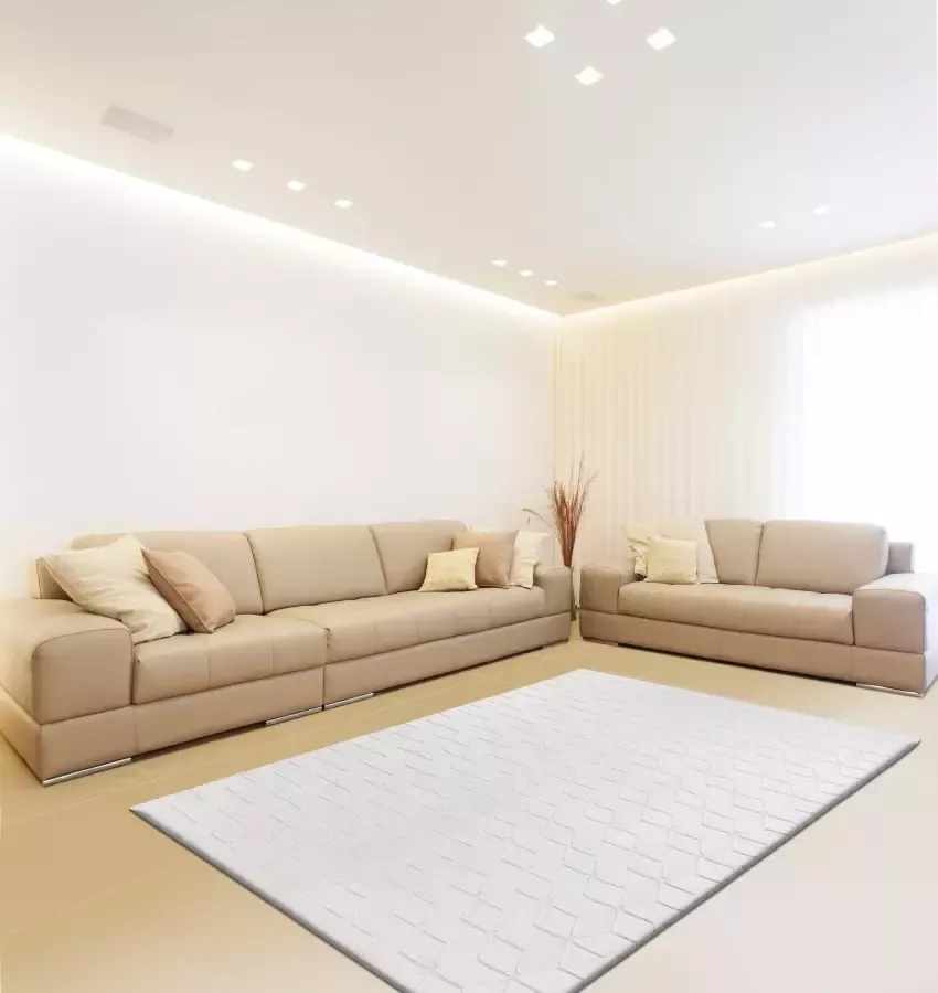 Calo-deluxe Vloerkleed Jardan-1000 bijzonder zacht door microvezel woonkamer - Foto 1