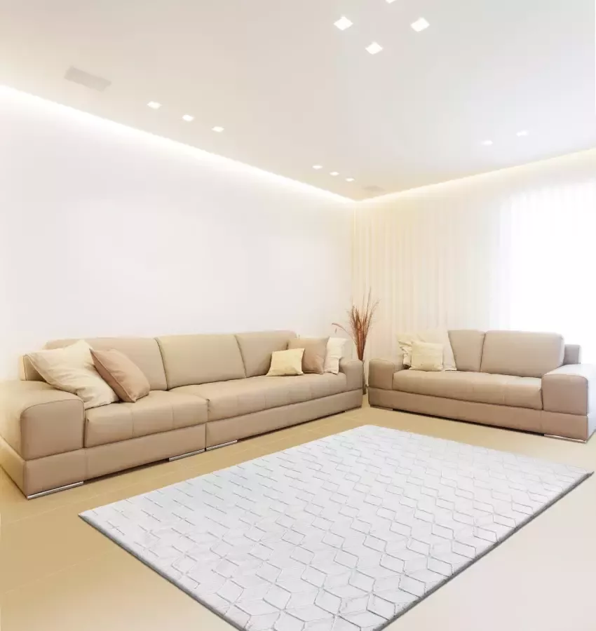 Calo-deluxe Vloerkleed Jardan-1000 bijzonder zacht door microvezel woonkamer