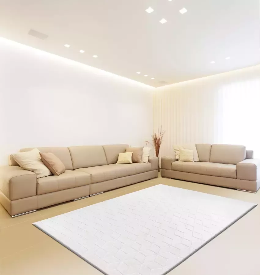 Calo-deluxe Vloerkleed Jardan-1000 bijzonder zacht door microvezel woonkamer