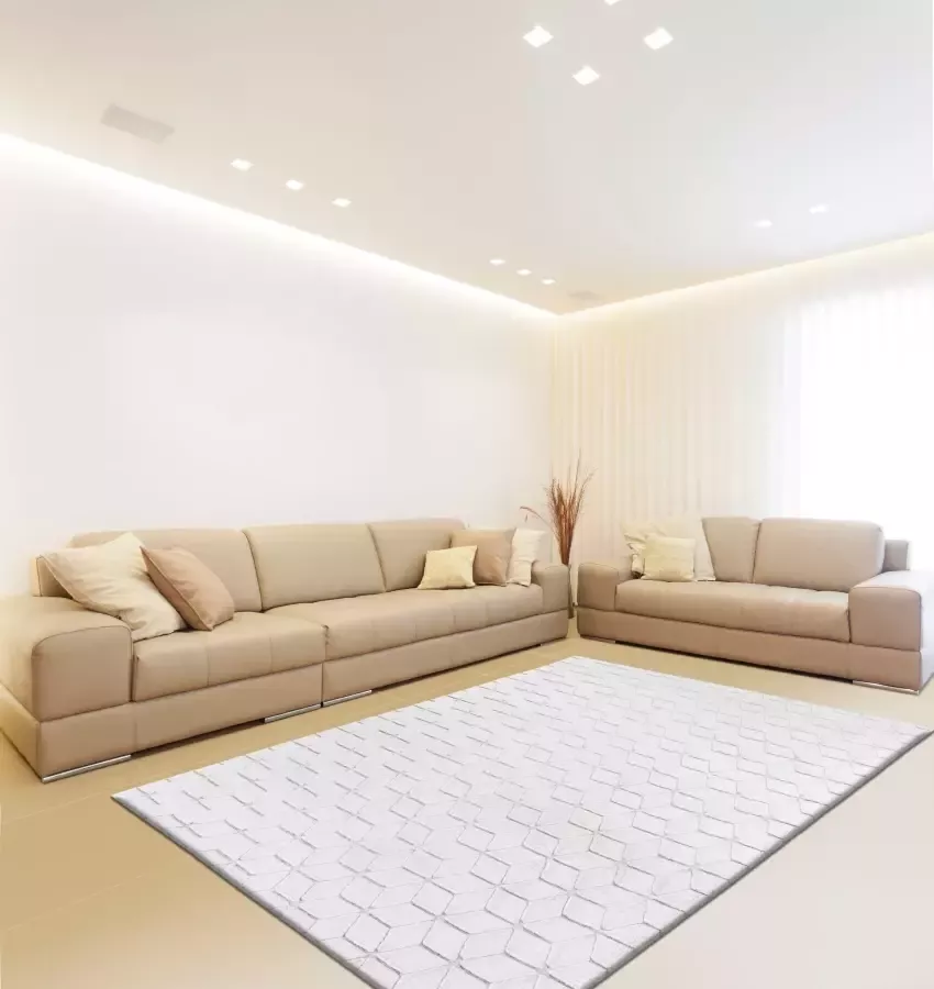 Calo-deluxe Vloerkleed Jardan-1000 bijzonder zacht door microvezel woonkamer