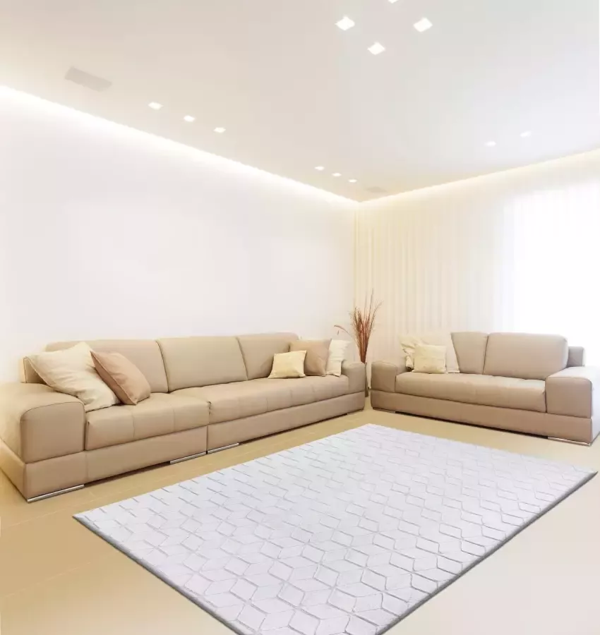 Calo-deluxe Vloerkleed Jardan-1000 bijzonder zacht door microvezel woonkamer