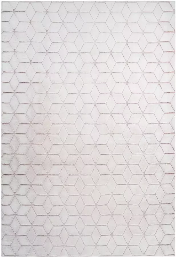 Calo-deluxe Vloerkleed Jardan-1000 bijzonder zacht door microvezel woonkamer - Foto 7