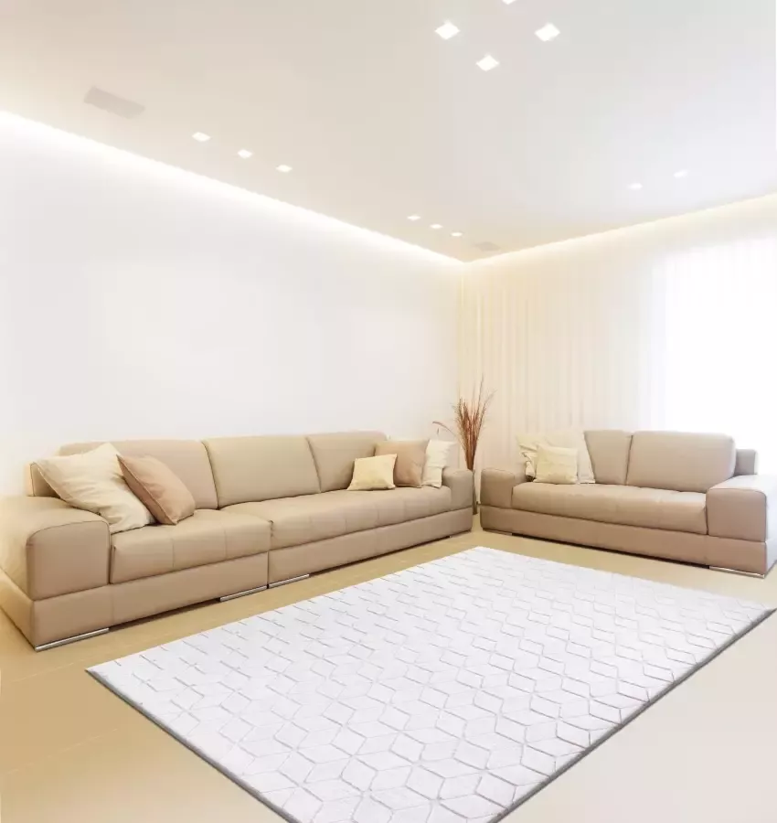 Calo-deluxe Vloerkleed Jardan-1000 bijzonder zacht door microvezel woonkamer