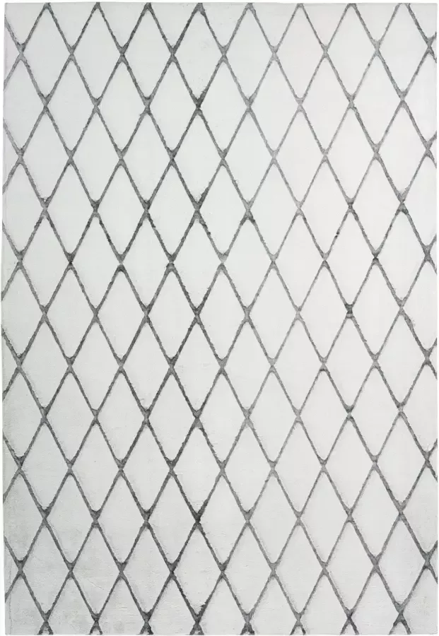 Calo-deluxe Vloerkleed Jardan-2000 bijzonder zacht door microvezel ruitdessin - Foto 2