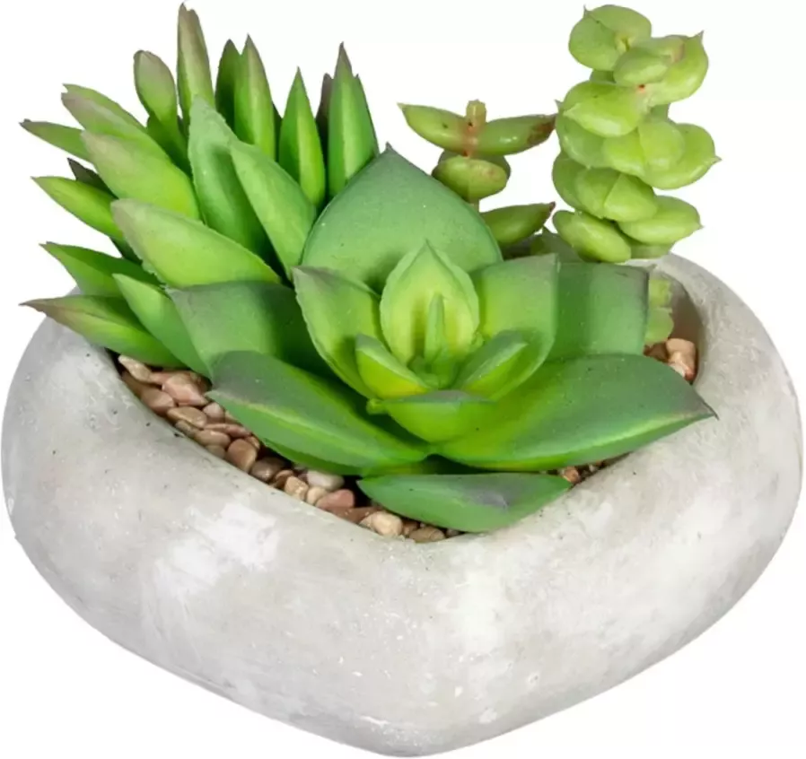Creativ green Kunst-potplanten Vetplanten-arrangement in cementkom set van 3 (3 stuks) - Foto 2