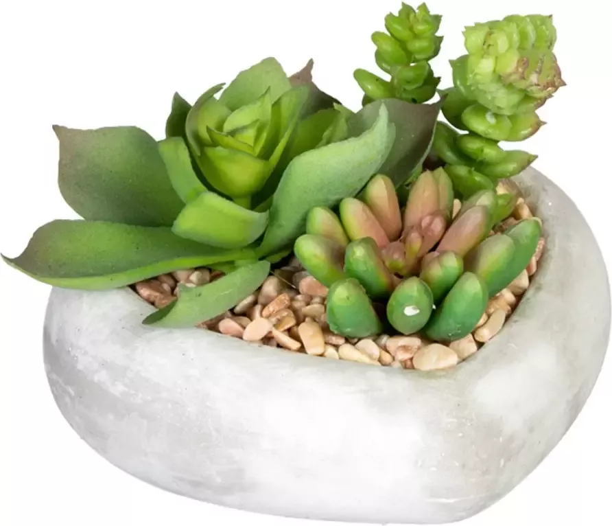 Creativ green Kunst-potplanten Vetplanten-arrangement in cementkom set van 3 (3 stuks) - Foto 3