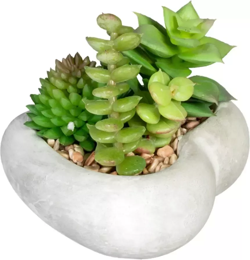 Creativ green Kunst-potplanten Vetplanten-arrangement in cementkom set van 3 (3 stuks) - Foto 1