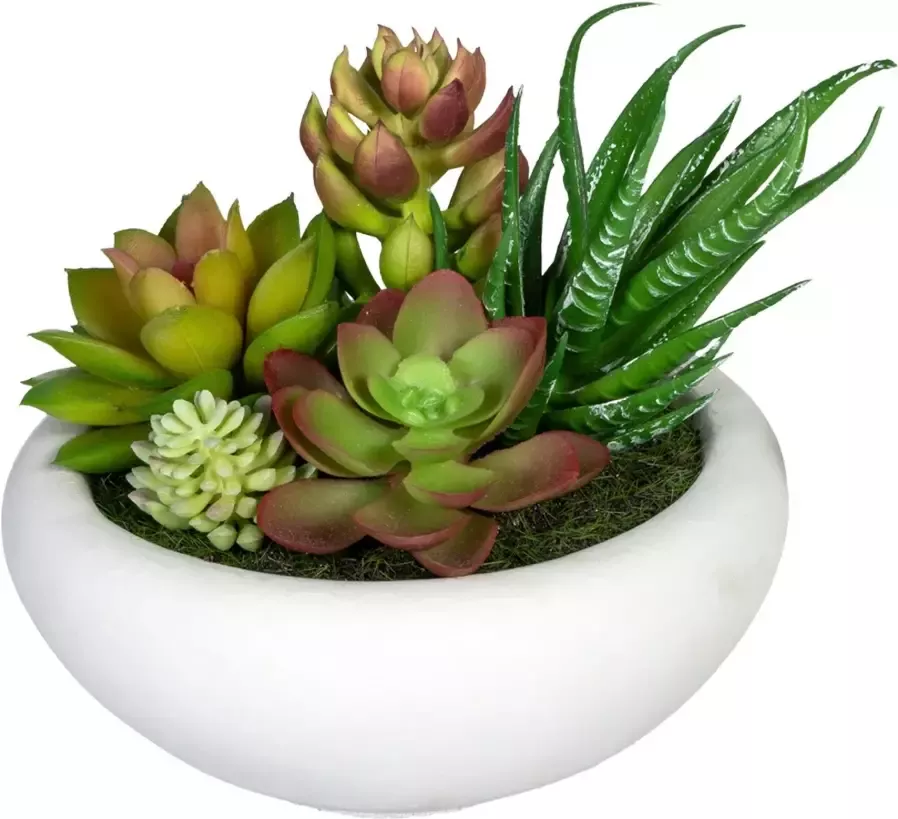 Creativ green Kunst-potplanten Vetplanten-arrangement in een cementpot(2 stuks)