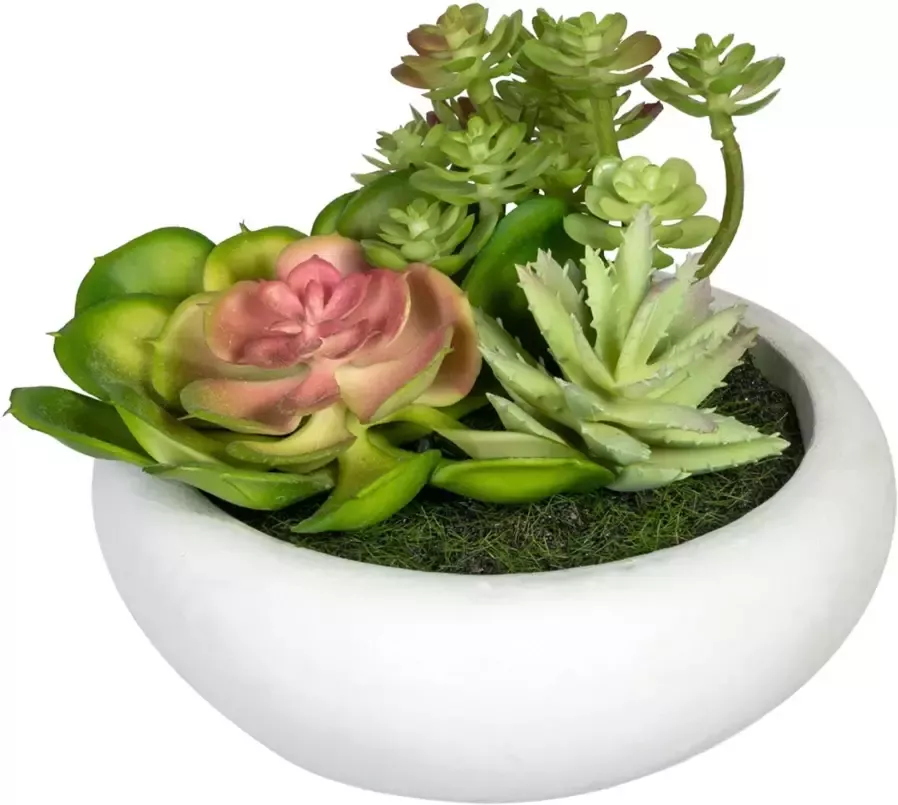 Creativ green Kunst-potplanten Vetplanten-arrangement in een cementpot(2 stuks) - Foto 2
