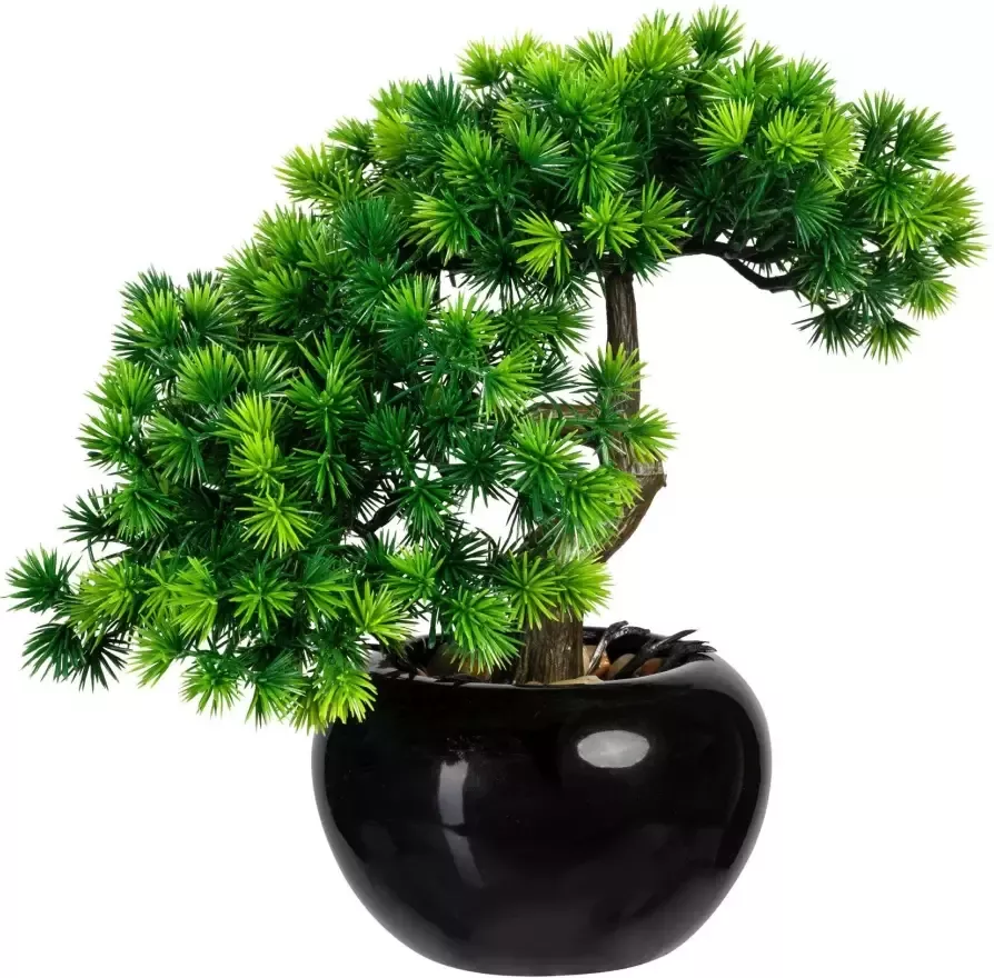 Creativ green Kunstbonsai Bonsai lariks in een keramische pot(2 stuks) - Foto 1