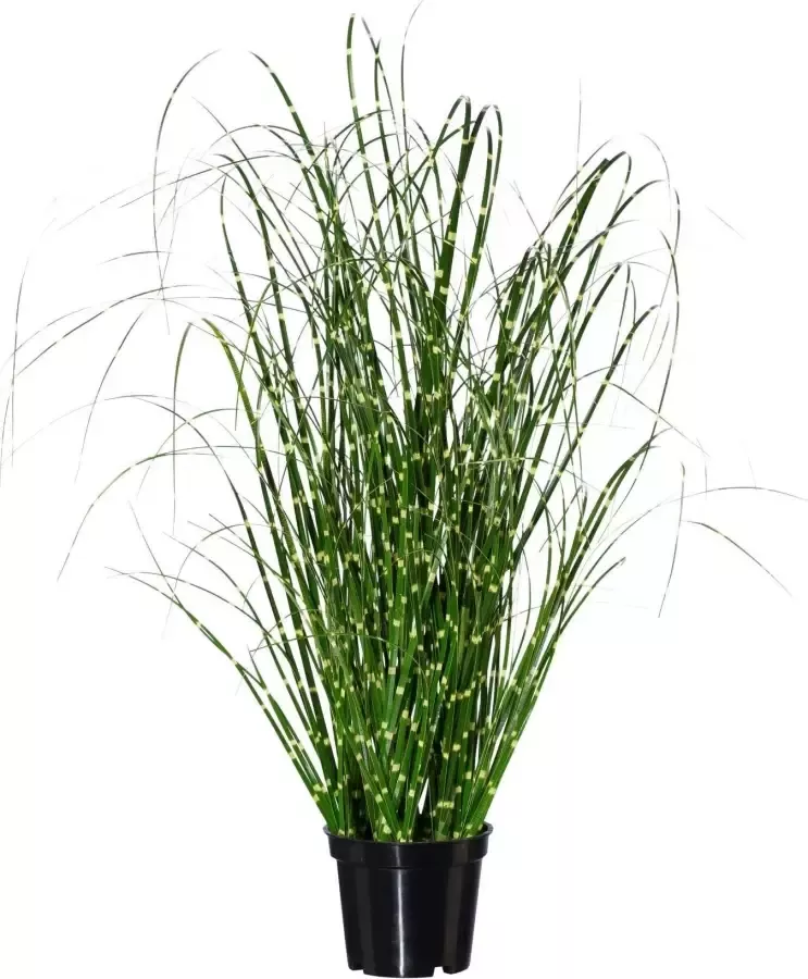 Creativ green Kunstgras Miscanthus (set 3 stuks) - Foto 2