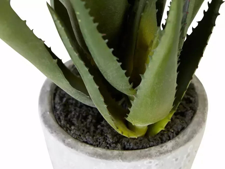 Creativ green Kunstplant Aloe (1 stuk) - Foto 1