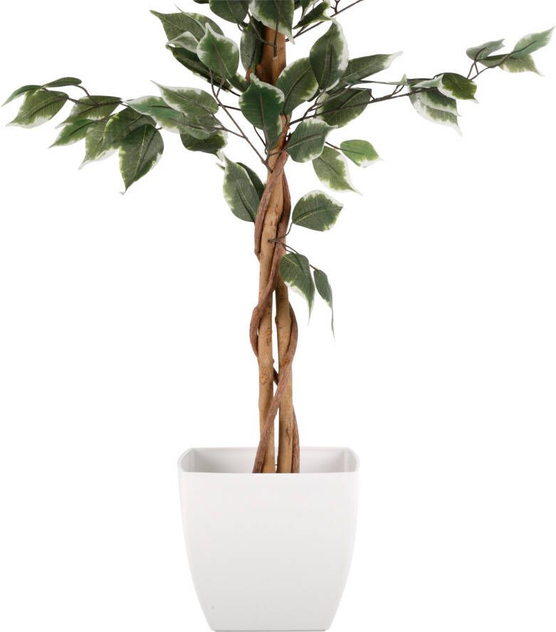 Creativ green Kunstplant Ficus Benjamini (1 stuk) - Foto 2