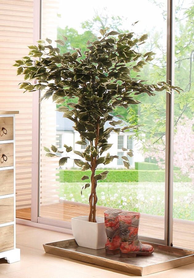 Creativ green Kunstplant Ficus Benjamini (1 stuk) - Foto 3