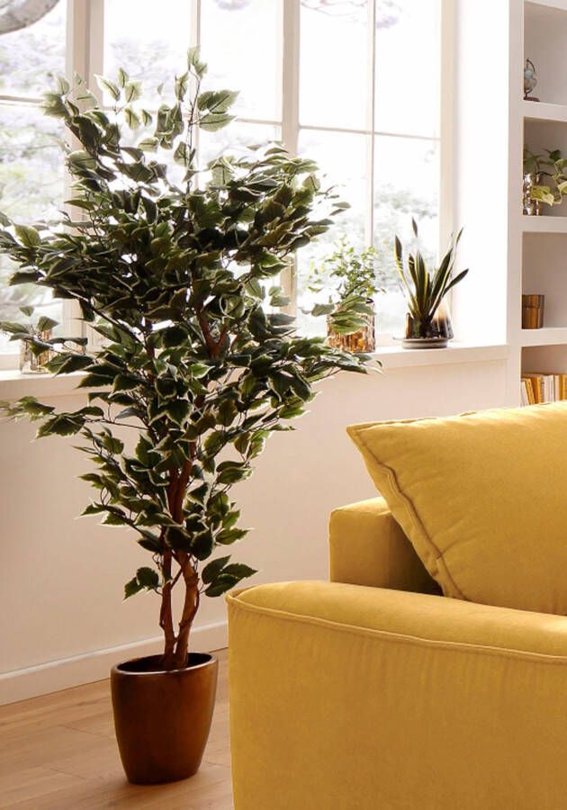 Creativ green Kunstplant Ficus Benjamini (1 stuk) - Foto 4