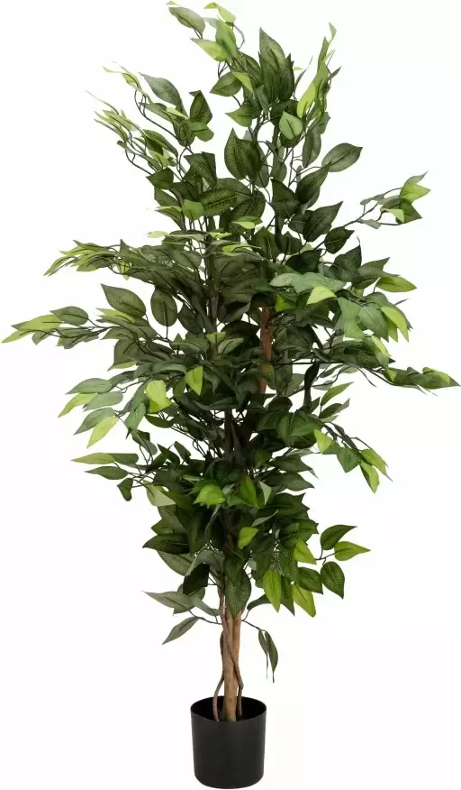 Creativ green Kunstplant Ficus Benjamini (1 stuk) - Foto 10