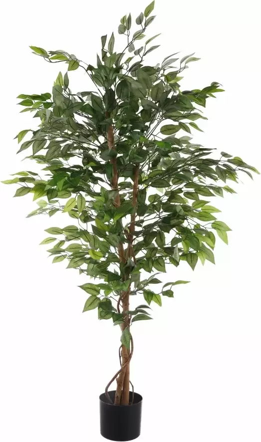 Creativ green Kunstplant Ficus Benjamini (1 stuk) - Foto 9