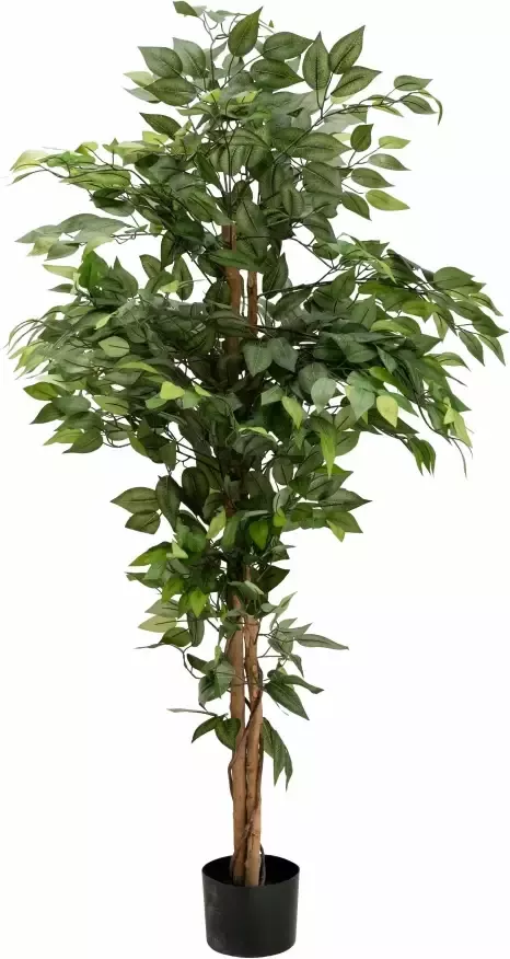 Creativ green Kunstplant Ficus Benjamini (1 stuk) - Foto 10