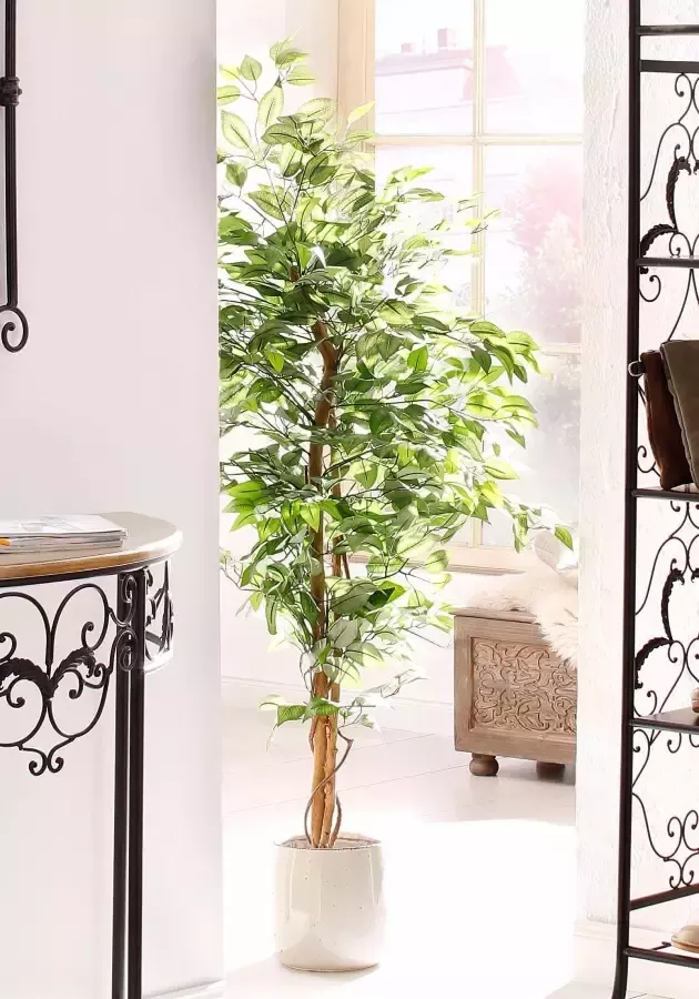 Creativ green Kunstplant Ficus Benjamini (1 stuk) - Foto 3