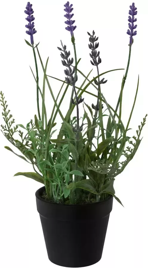 Creativ green Kunstplant Lavendel set van 3 in een plastic pot (3 stuks) - Foto 1