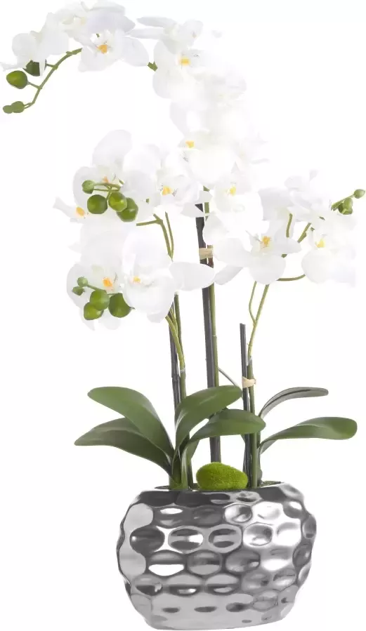 Creativ green Kunstplant Orchidee (1 stuk) - Foto 7