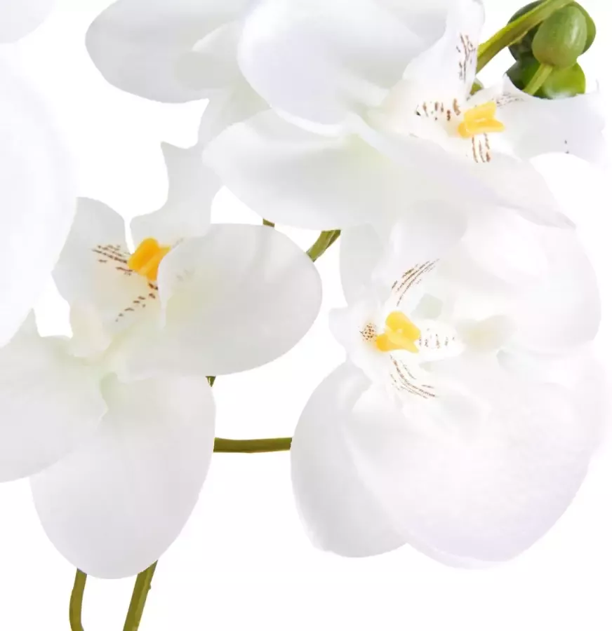 Creativ green Kunstplant Orchidee (1 stuk) - Foto 1