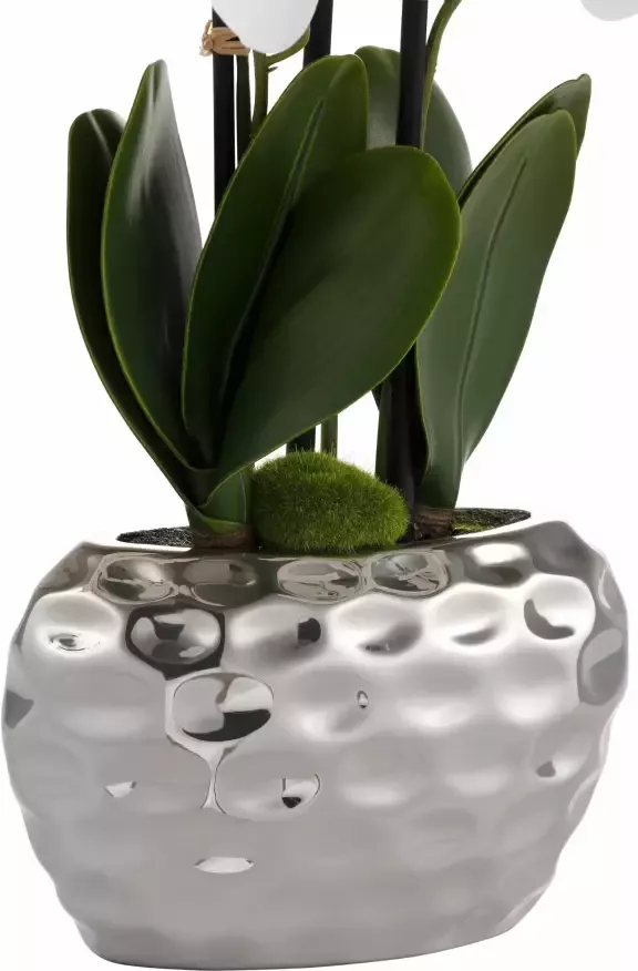 Creativ green Kunstplant Orchidee (1 stuk) - Foto 6