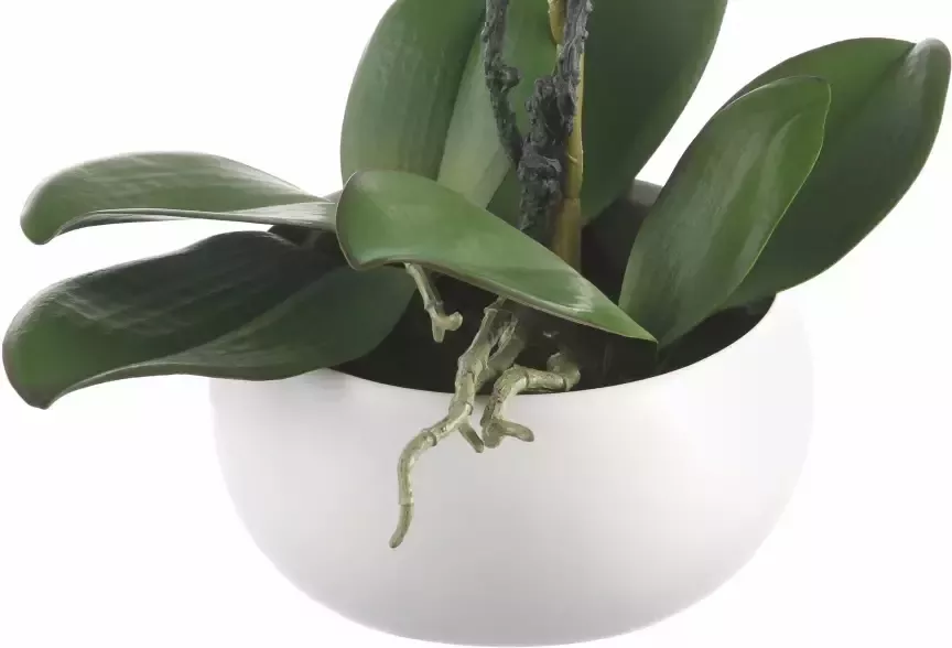 Creativ green Kunstplant Orchidee (1 stuk) - Foto 5