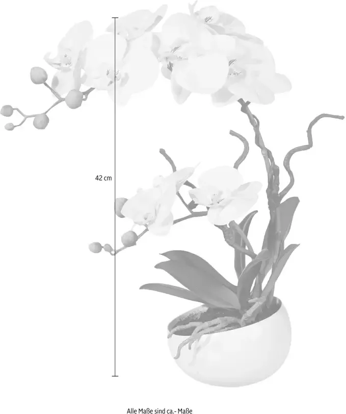 Creativ green Kunstplant Orchidee (1 stuk) - Foto 2