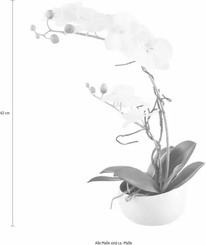 Creativ green Kunstplant Orchidee (1 stuk) - Foto 4