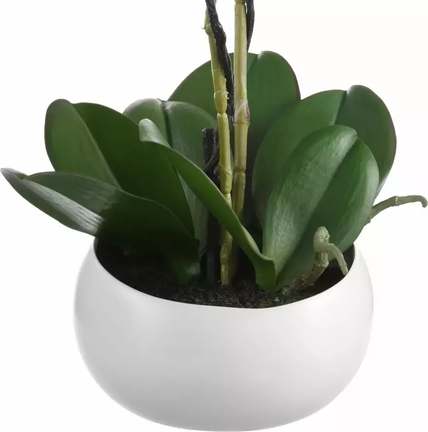 Creativ green Kunstplant Orchidee (1 stuk) - Foto 1
