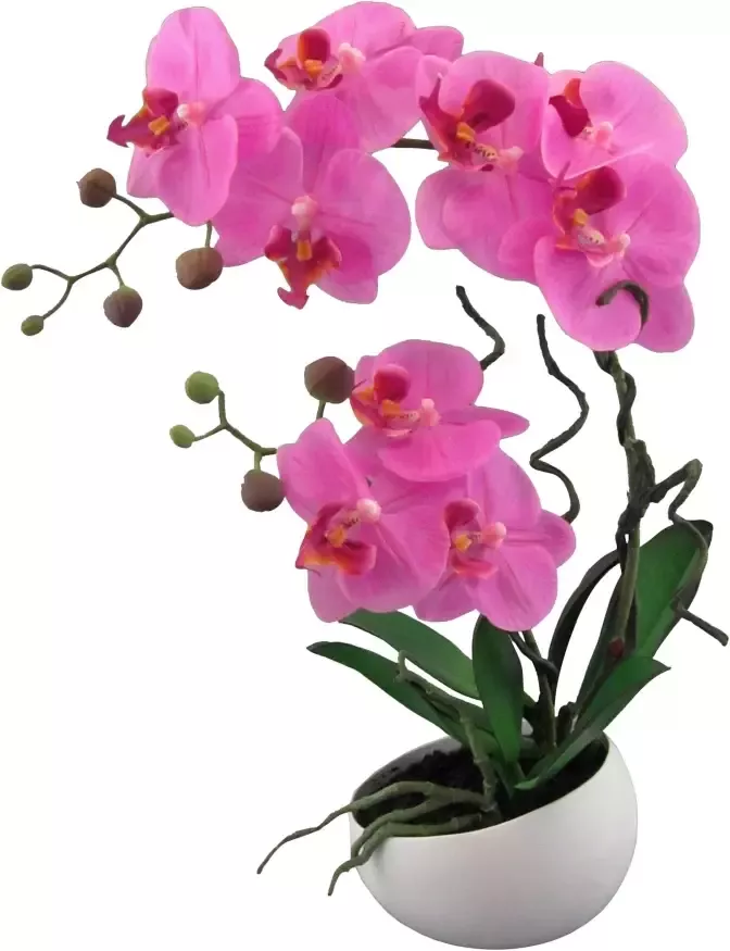 Creativ green Kunstplant Orchidee (1 stuk) - Foto 2