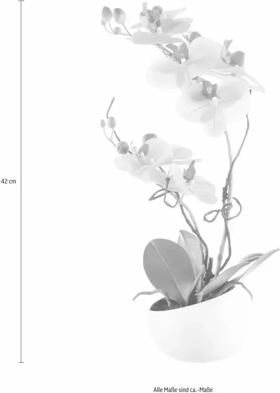 Creativ green Kunstplant Orchidee (1 stuk) - Foto 5