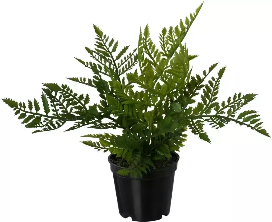 Creativ green Kunstplant Varen set van 3 in een plastic pot (3 stuks)