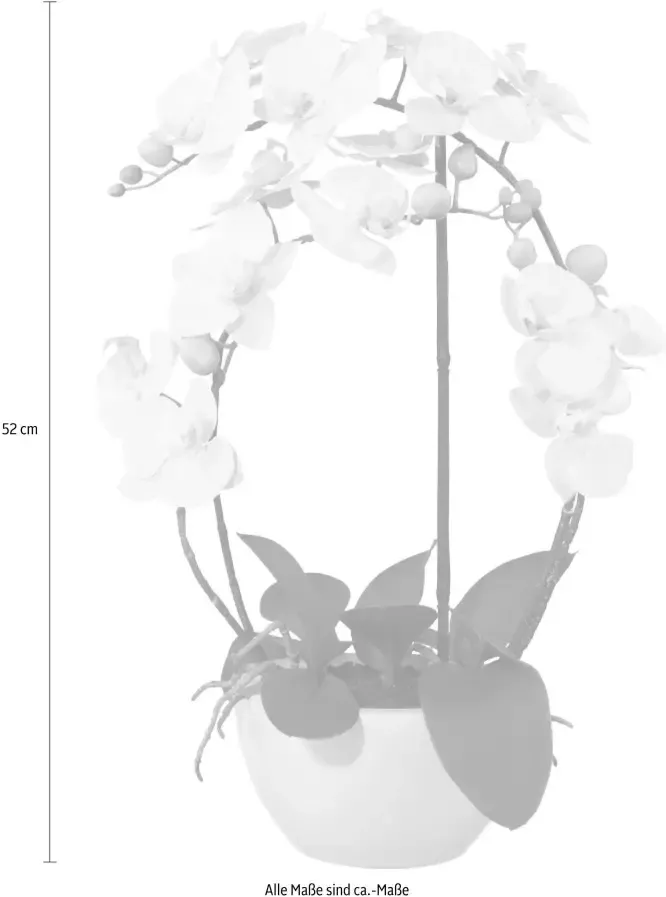 Creativ green Kunstplant Vlinderorchidee (1 stuk) - Foto 1