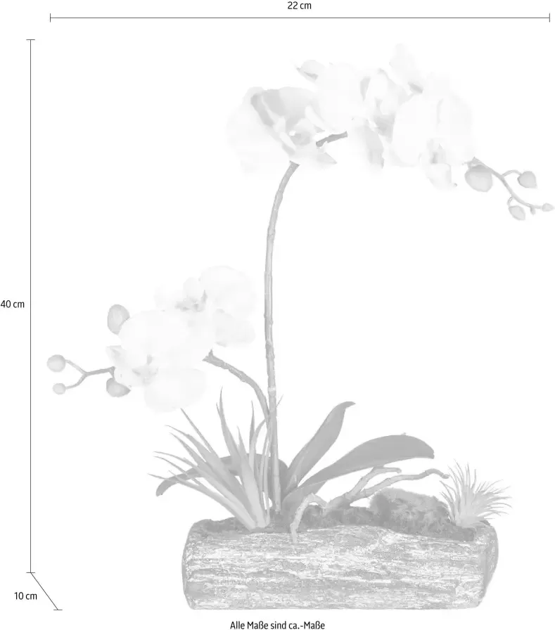 Creativ green Kunstplant Vlinderorchidee (1 stuk) - Foto 1