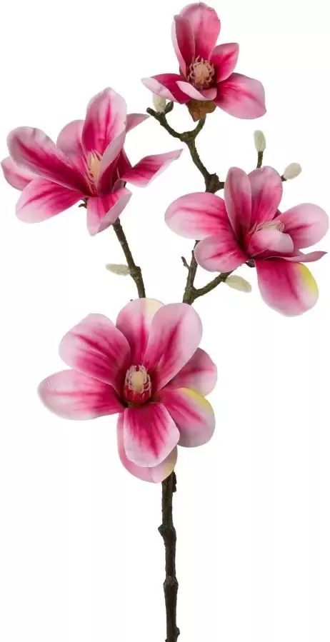 Creativ green Kunsttak Tak magnolia (2 stuks) - Foto 1