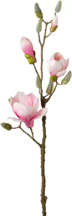 Creativ green Kunsttak Tak magnolia (3 stuks) - Foto 1