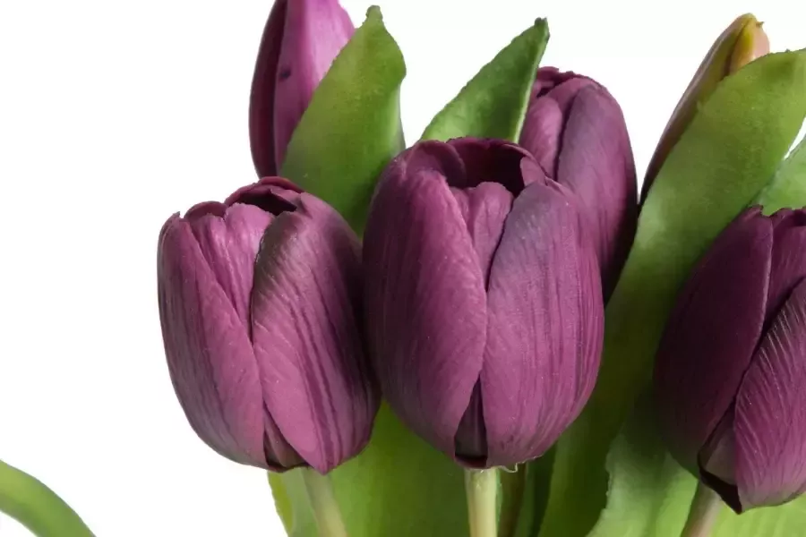 Botanic-Haus Kunstbloem Willa Bos tulpen in 7-delige set (set 7 stuks)