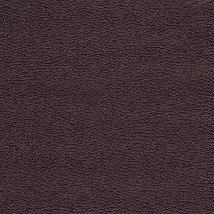 DOMO collection Hoekbank Brandon B T H: 214 100 80 cm L-vorm Met verstelbare hoofdsteun ook in leer en cord L-model