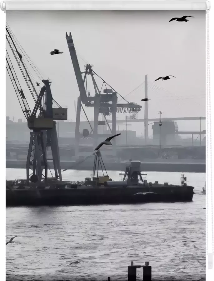 elbgestoeber Rolgordijn met zijbediening Zicht op de Elbe 2 (1 stuk)