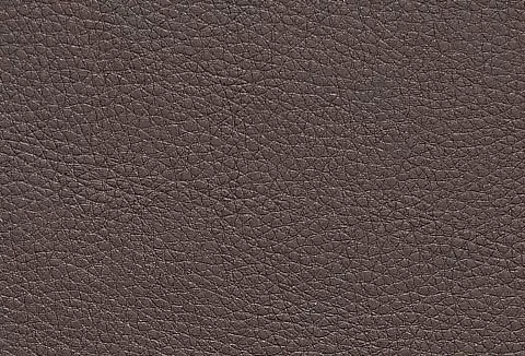 Exxpo sofa fashion Eetkamerstoel Barista lounge stoel op wielen met hoge bodemvrijheid smalle armleuningen totale breedte ca. 61 cm comfortabele zithoogte ca. 49 cm - Foto 3