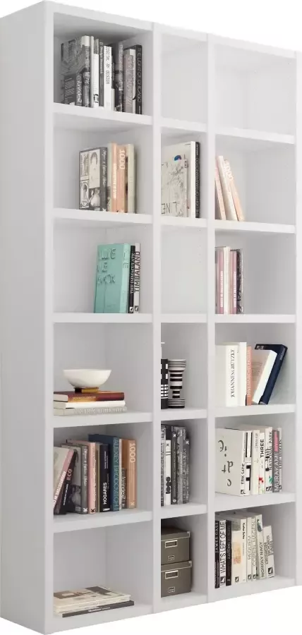 Home24 Boekenkast Emporior IX loftscape - Foto 3