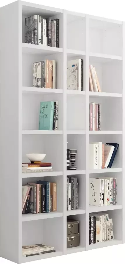Home24 Boekenkast Emporior IX loftscape - Foto 3