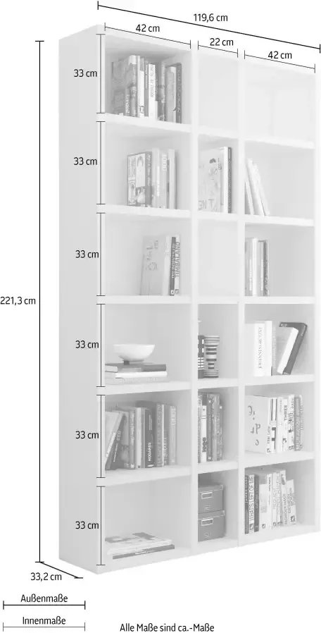 Home24 Boekenkast Emporior IX loftscape - Foto 2