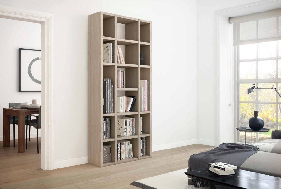 Home24 Boekenkast Emporior XIV loftscape - Foto 2