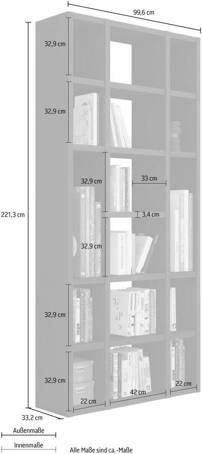 Home24 Boekenkast Emporior XIV loftscape - Foto 3