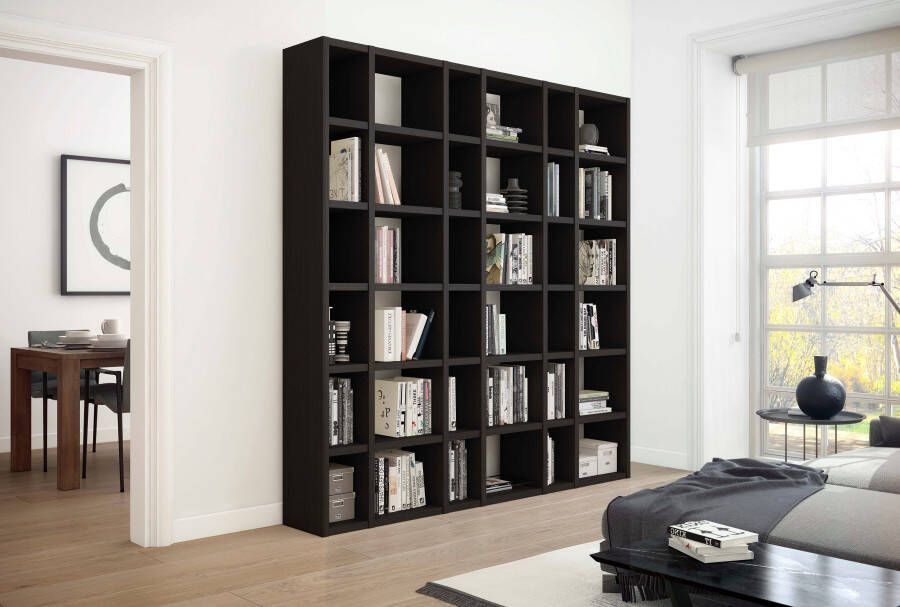 Home24 Boekenkast Emporior XV loftscape - Foto 3