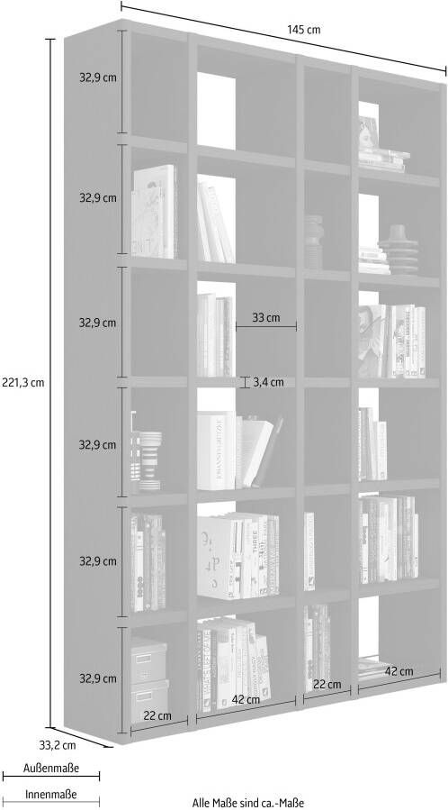 Home24 Boekenkast Emporior XV loftscape - Foto 3
