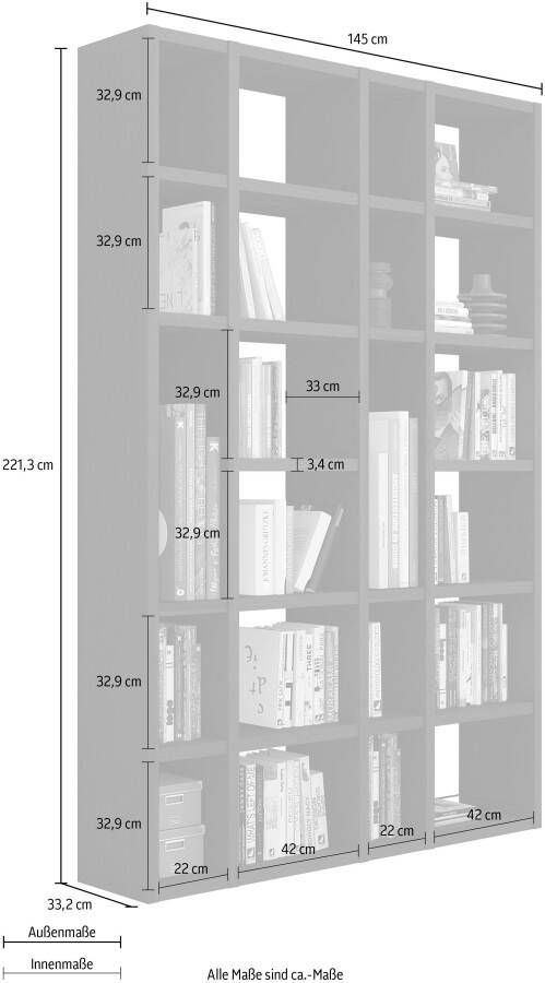 Home24 Boekenkast Emporior XIV loftscape - Foto 3